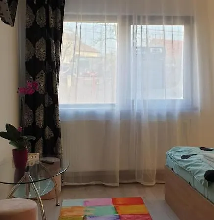 Casa Ana クルージュ＝ナポカ