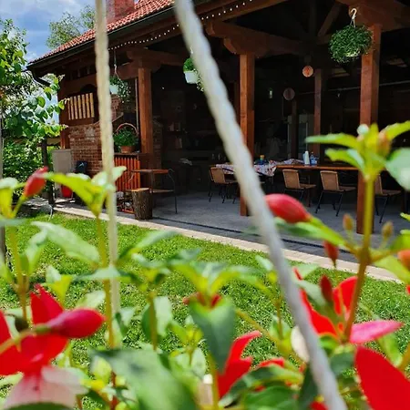 ホームステイ Casa Ana