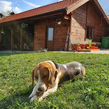 Casa Ana منزل للإقامة كلوج-نابوكا