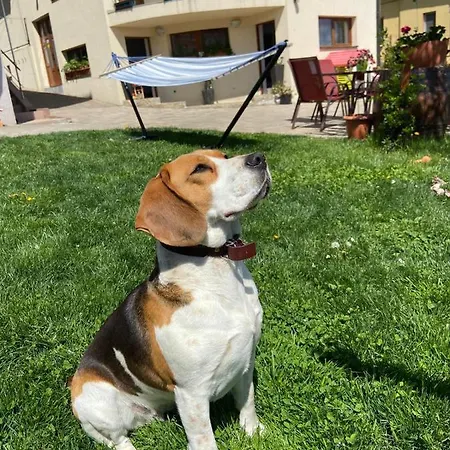 Casa Ana منزل للإقامة