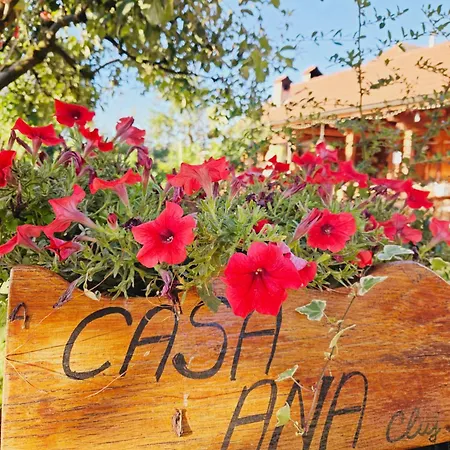 Casa Ana Cluj-Napoca