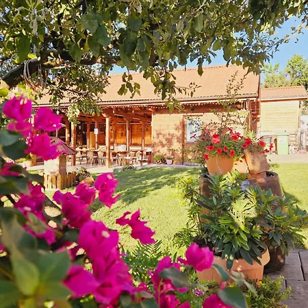 Casa Ana * Kaloşvar