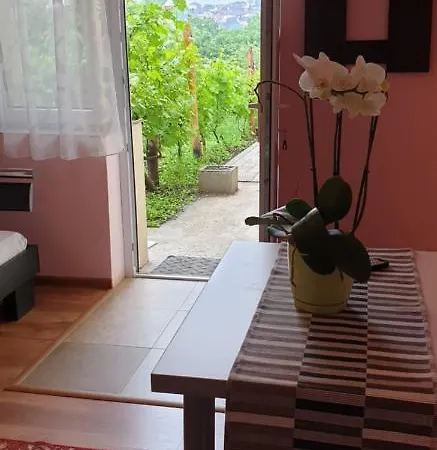 Casa Ana ホームステイ *