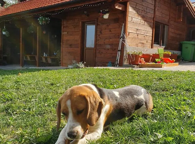 Casa Ana Homestay Cluj-Napoca