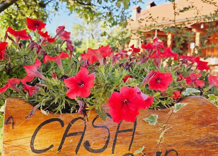 Casa Ana Cluj-Napoca