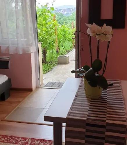 Casa Ana Alloggio in famiglia *